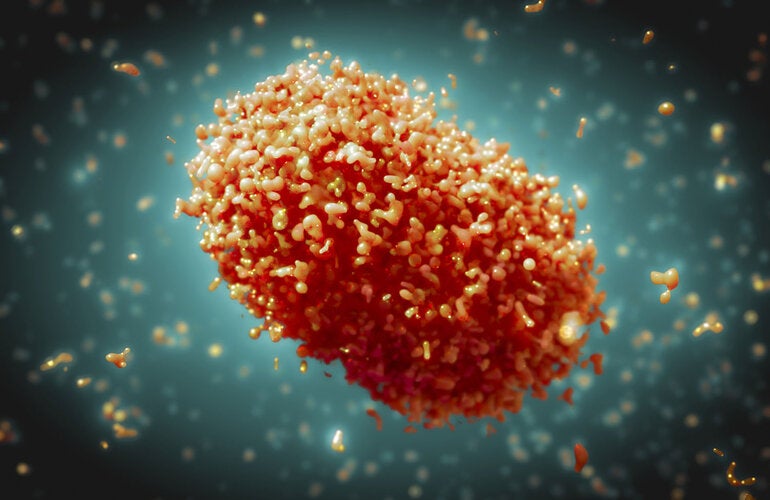 Monkeypox virus