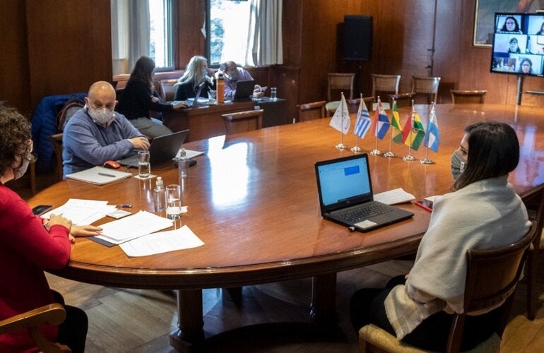 Comisión de Salud del MERCOSUR activa en la lucha contra la resistencia a los antimicrobianos