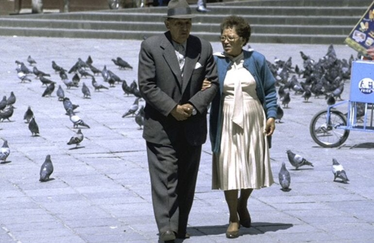 aging couple walking among pigeons in a plaza