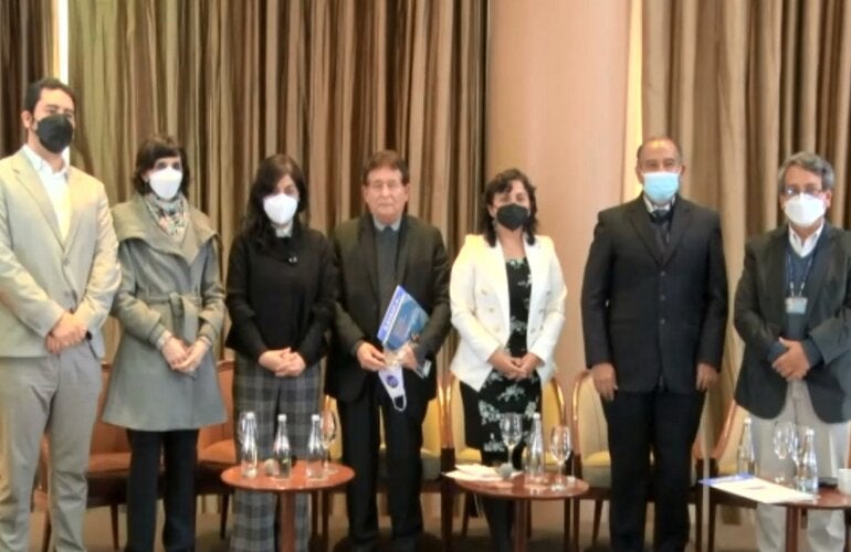 panel multisectorial