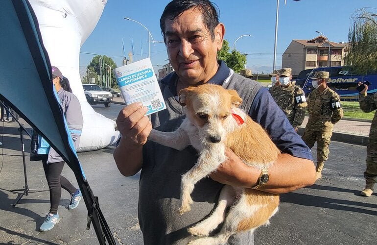 Vacunacion contra la rabia canina