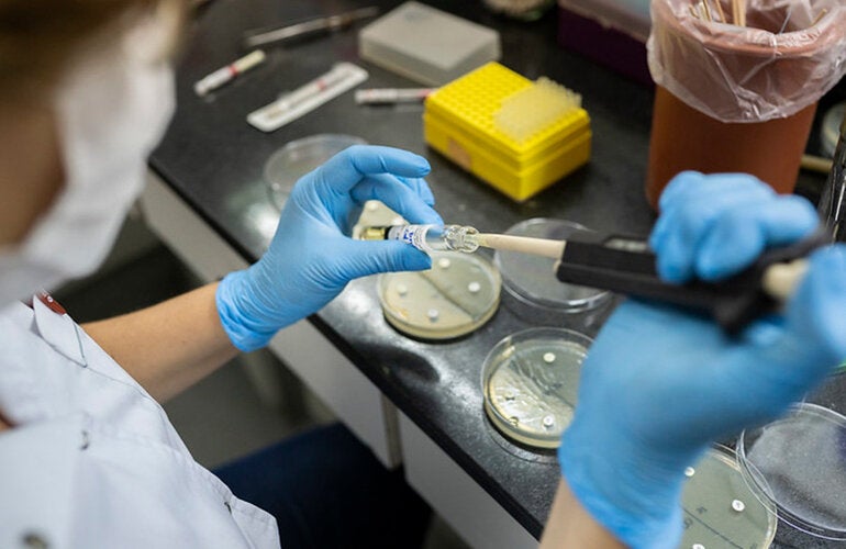 uso de pruebas de diagnóstico