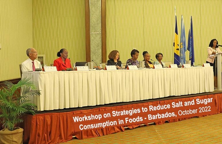 Head table salt and sugar workshop in Barbados