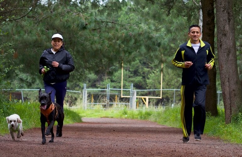 Una pareja de mediana edad corriendo por un bosque acompañados por dos perros