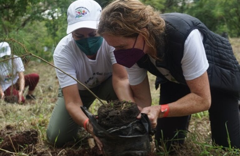 Siembra de árboles-120 aniversario OPS