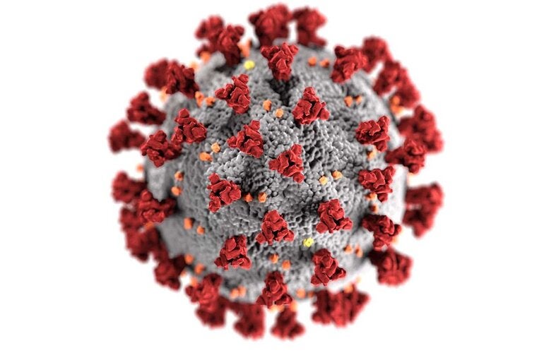 COVID-19 virus