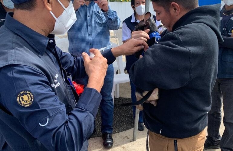 Jornada vacunación contra la rabia