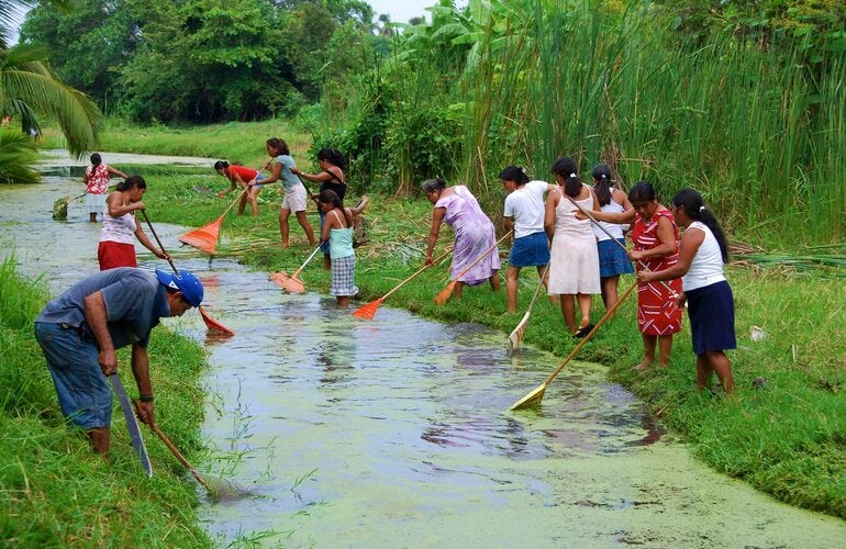 volunteers treat standing water