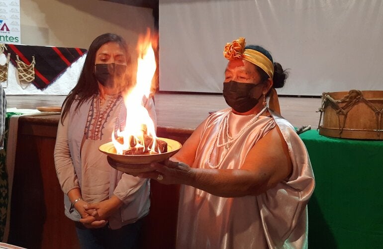 Medicina Tradicional