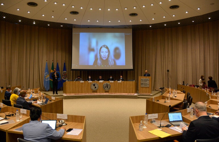 Imagem do auditório da OPAS/OMS, em Brasília, onde ocorre o Seminário Internacional Plataforma Clínica Global Covid-19 e Pós-Covid