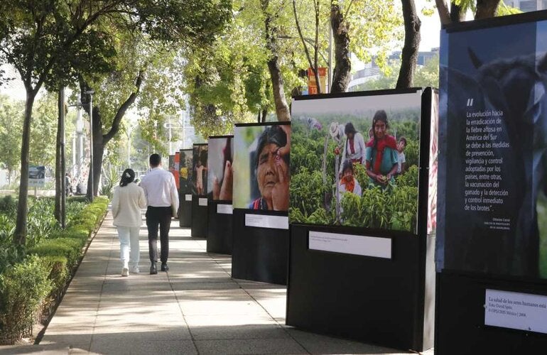 Galería Abierta: Celebrando 120 Años de Solidaridad por la Salud y el Bienestar de Todos