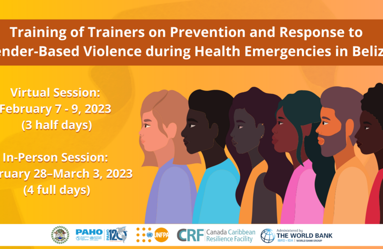 Training of trainers on Prevention and Response to Gender-Based Violence during Health Emergencies