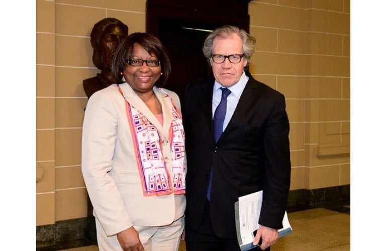 paho and oas directors