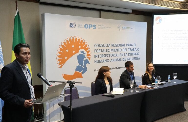 Expertos de la OPS durante la consulta regional en Brasil
