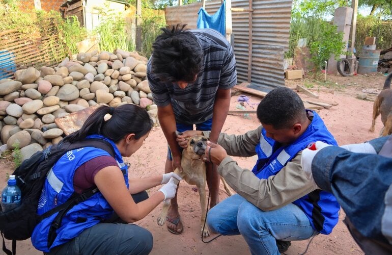 Campaña Leishmaniasis