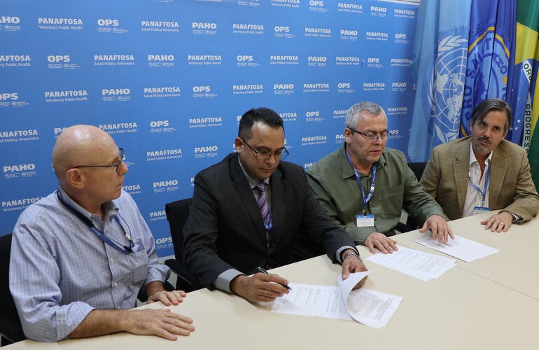 Colombian and Venezuelan authorities have agreed to collaborate in strengthening surveillance against foot-and-mouth disease at their borders