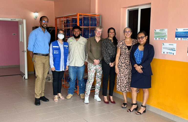 Photo of FCDO and PAHO