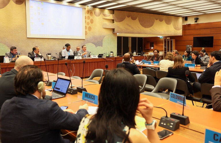 The Americas at the 76th World Health Assembly