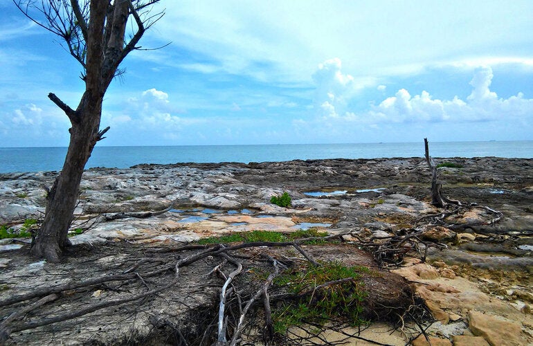 Devastación producida por cambio climático