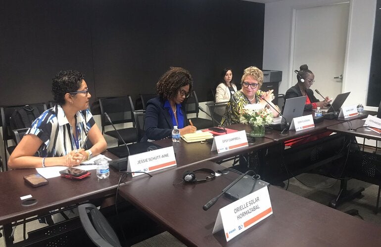 Sesión de consulta con el Foro Permanente.