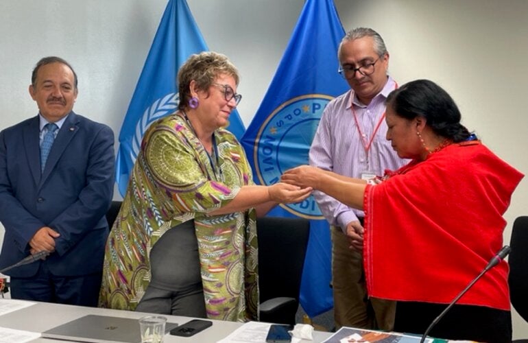 Participantes en la reunión de la Red de Conocimiento Indígena