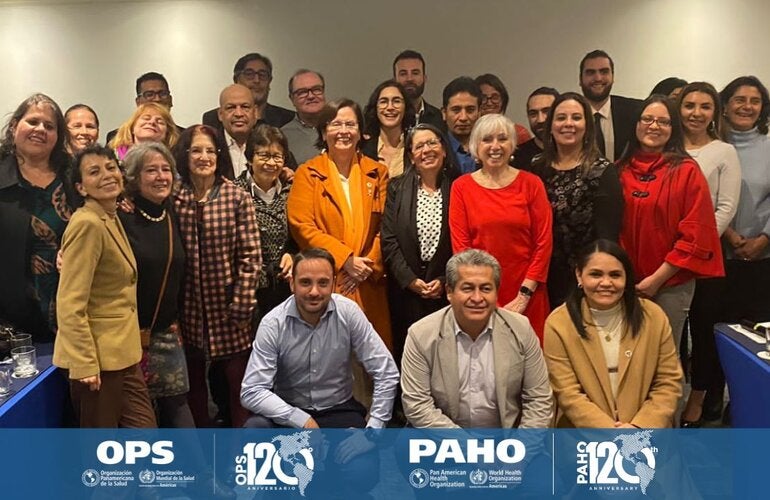 Programa Subregional para América del Sur 