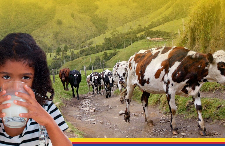 Seminarios web: “Abordaje Integral de la Brucelosis en el Marco de Una Salud”