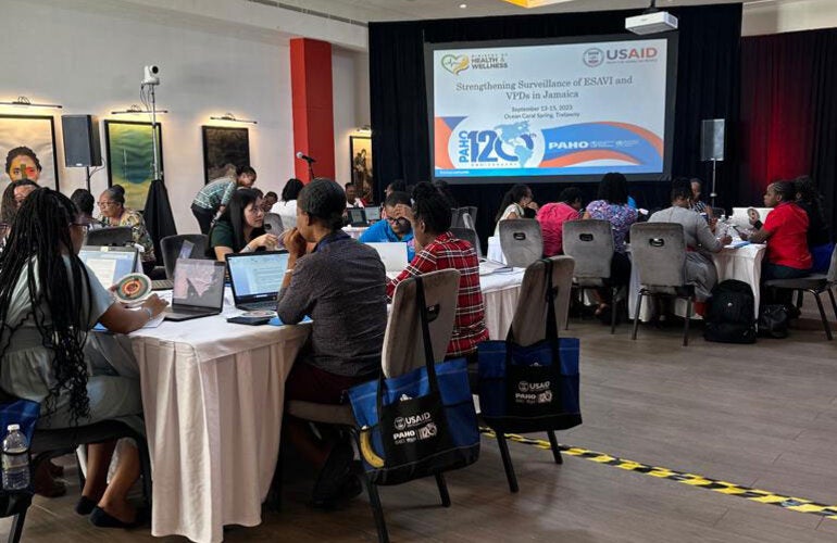 VPD and ESAVI workshop