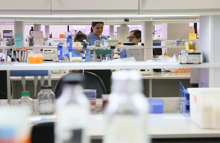 PAHO Promotes Collaboration Among Member Countries of the Latin American and Caribbean Network for Antimicrobial Resistance Surveillance (ReLAVRA+) in Colombia 