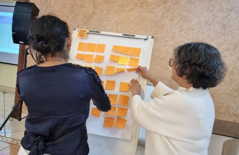 Identificación de problemas RHUS para la construcción de la política