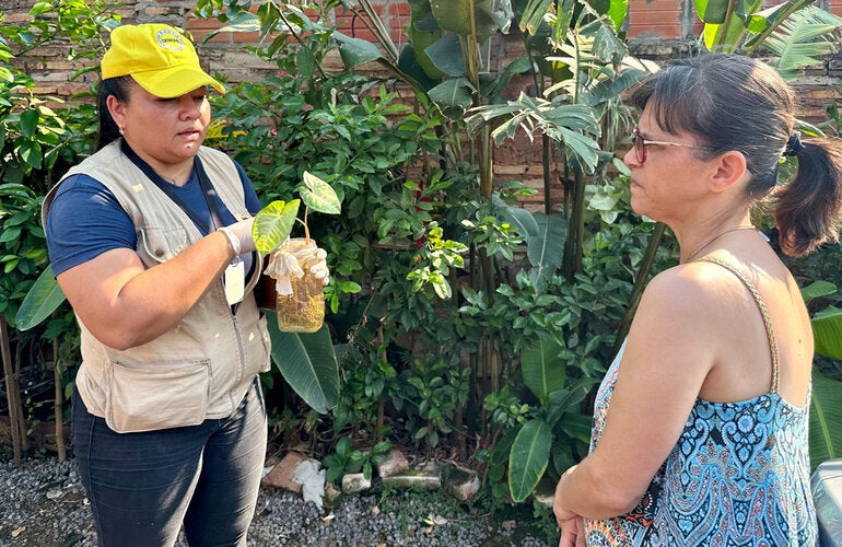 Personal de SENEPA trata un florero con agua para evitar criaderos de mosquitos y recomiendan a la   Un recorrido casa por casa contra el dengue en Paraguay