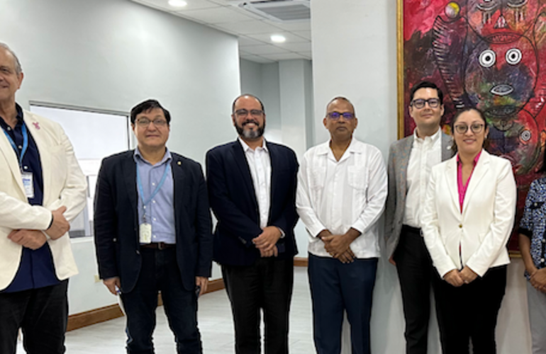 PAHO technical cooperation to strengthen regulatory capacities for local production in Guyana