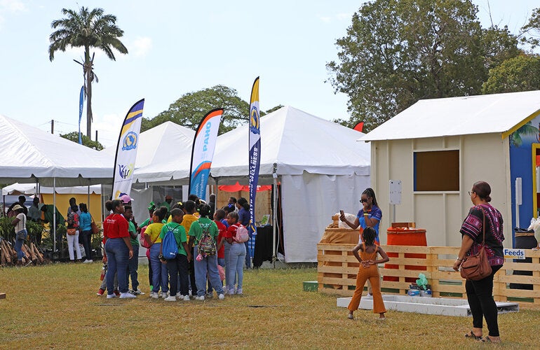 View of tent at activity