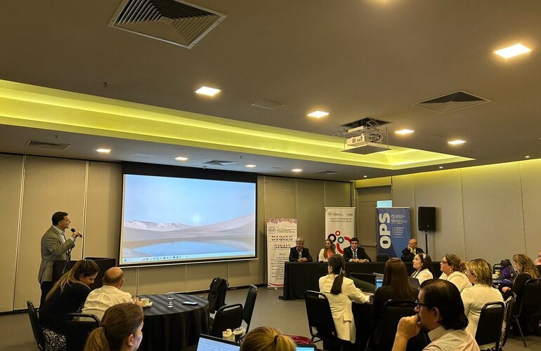 Taller sistema salud materna