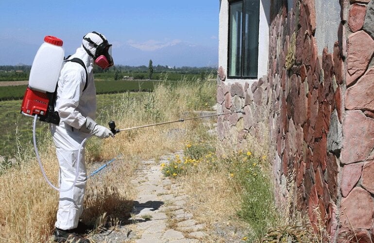 fumigation in the field
