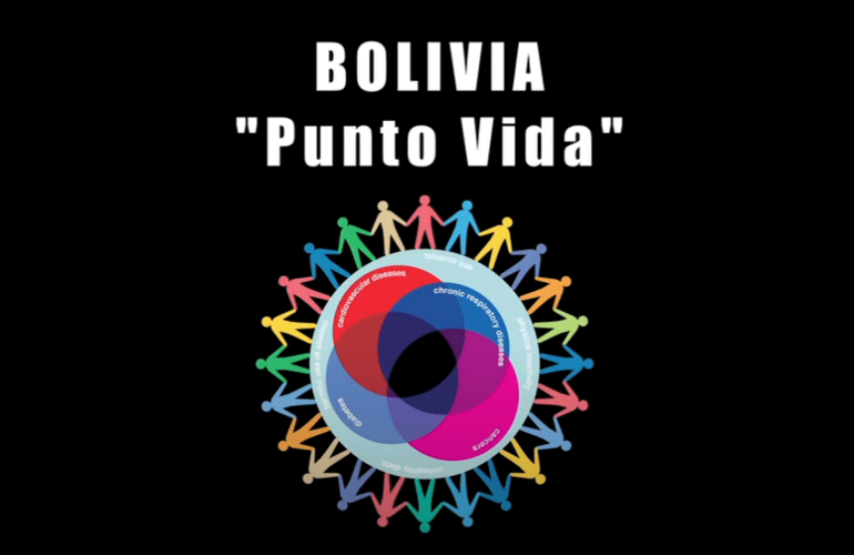 punto vida logo