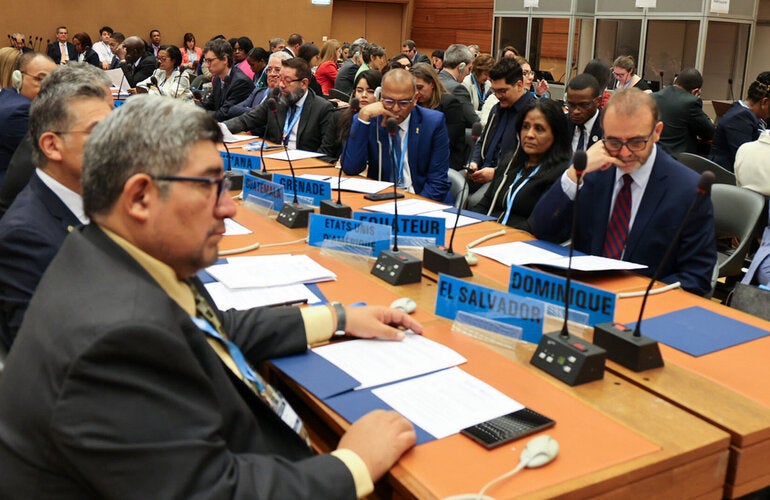 Delegations of the Americas at the 77th World Health Assembly