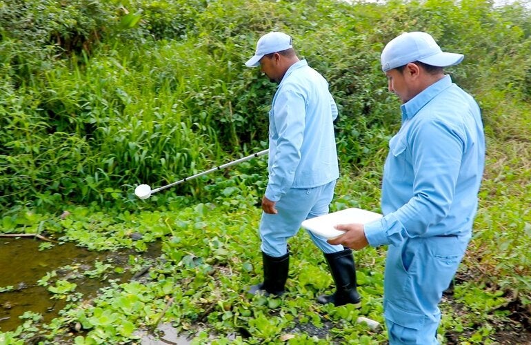 Taller Binacional sobre la Vigilancia Entomológica de la malaria