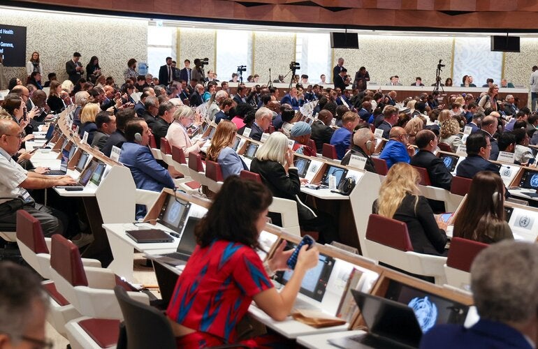 Delegates at World Health Assembly 