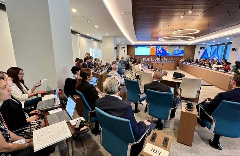 Consejo Directivo 2024