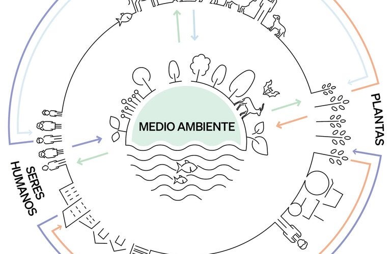 Estrategia Una salud