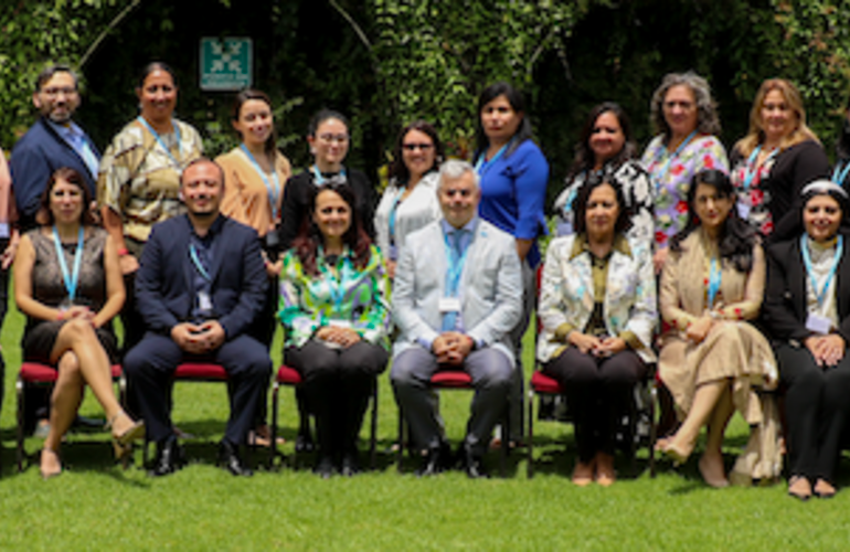 Experts from the Americas are trained by the WHO as assessors of regulatory systems for medical products according to global standards 