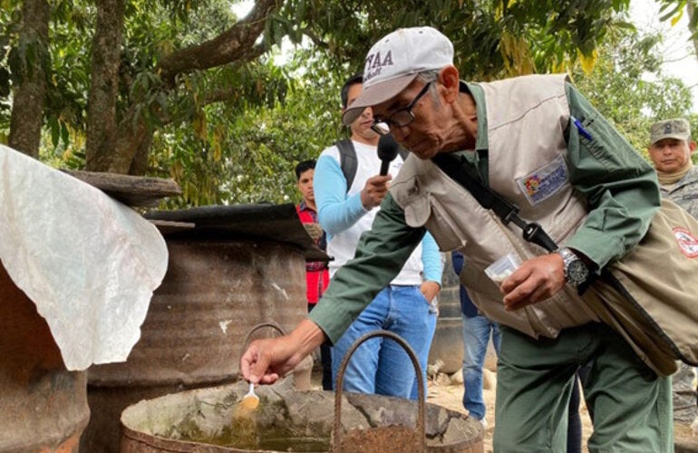 personal verificando Ovitrampas