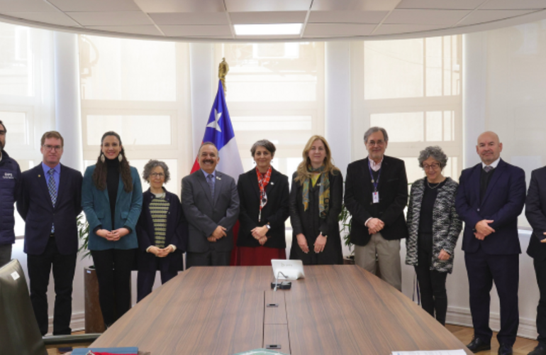 Brotes de Virus Respiratorio Sincicial, presencia del Aedes Aegypti e incendios en Región de Valparaíso fueron los temas abordados en visita al país