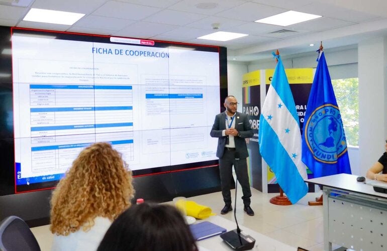 OPS presenta a la mesa CESAR formulario para consolidar apoyo sobre dengue