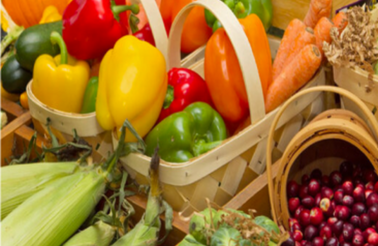 inocuidad de los alimentos