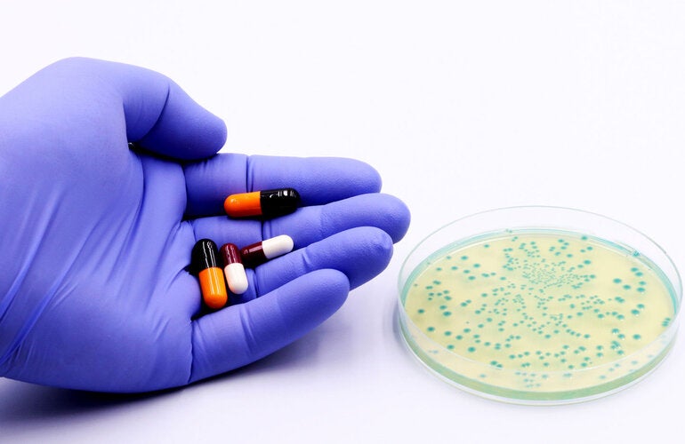 Bacteria in a Petri dish and in the hand of a doctor or researcher antibiotics or drugs.