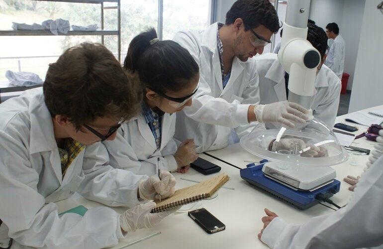 OPS e INS de Perú identificaron líneas nacionales de investigación en salud 2024-2030