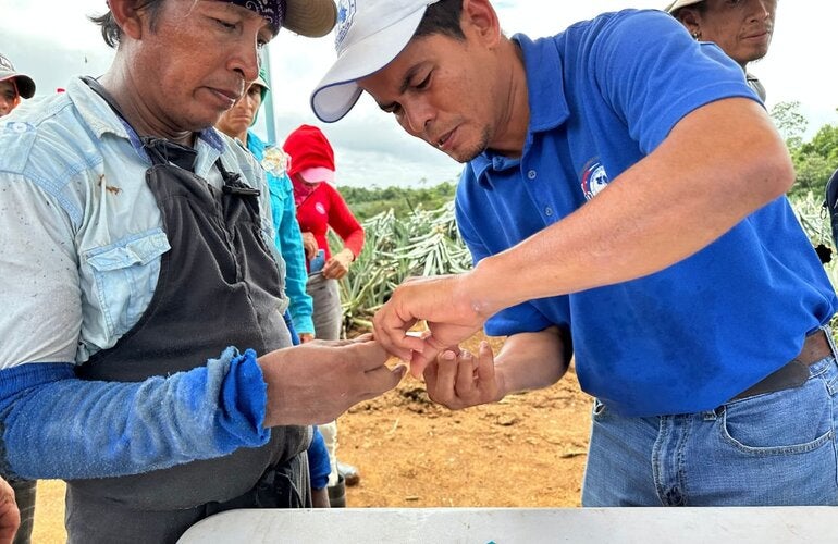  81 / 5,000 Health inspector performing a rapid malaria test on a farm worker