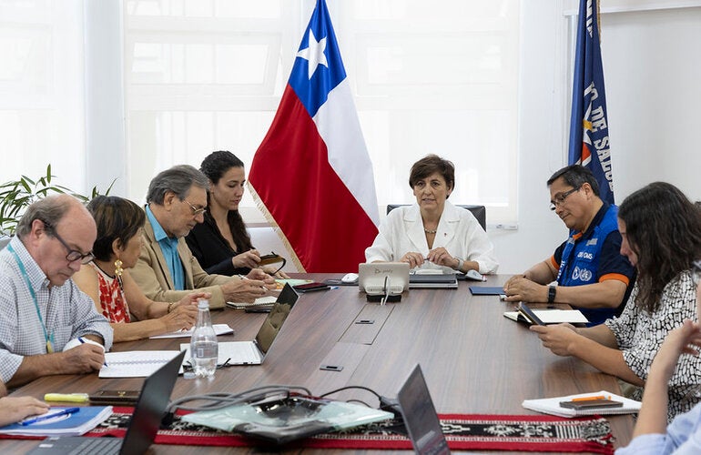 La ministra de Salud, Dra. Ximena Aguilera, convocó a una reunión de expertos para abordar la situación de la gripe aviar en el mundo y cómo ello podría afectar a Chile